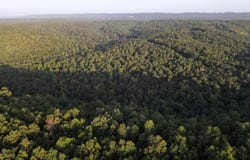 21 Evergreen Road, Bee Branch, AR 72013
