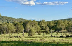 4727 W Cedar Street, Ash Fork, AZ 86320