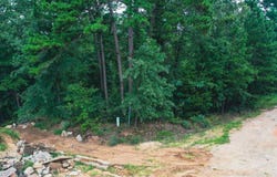HICKORY DR, Harleton, TX 75651