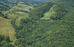 Sandy Creek Road, Traphill, NC 28685