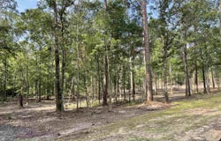 8177 Hepzibah Rd, Clinton, LA 70722