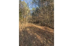 Murfreesboro, AR 71958