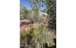24 S Temple Circle, Snowflake, AZ 85937