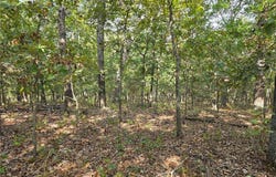 Araskog Drive, Edwards, MO 65326