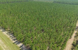 SE SCHOONER WAY, Lee, FL 32059