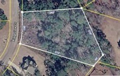 12343 Coldstream Court, Hampton, GA 30228