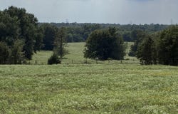 FM 833, Fairfield, TX 75840