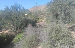 10809 Spring Ct, Bodfish, CA 93205