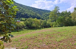 601 Vardy Blackwater Rd, Sneedville, TN 37869