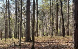 TR 1B Chalcrest Way, Cave Spring, GA 30124