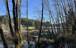 5 HILLTOP Dr, Lakeside, OR 97449
