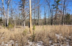 Sargent Road, Willow Springs, MO 65793