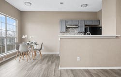 4113 Esters Road, Irving, TX 75038