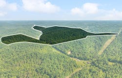 1068 Stingy Fork Rd, West Liberty, KY 41472