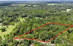 160th Terrace, Mc Alpin, FL 32062