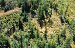 113 Trail Blazer Ct, Pinehurst, ID 83850