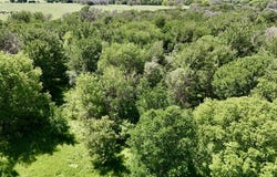 2031 County Road 3310, Valley Mills, TX 76689