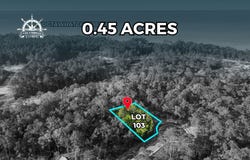 Perseverance Point lot: 103, Freeport, FL 32439