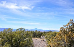 Tract 16-E Corona Drive, Medanales, NM 87548
