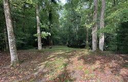 830 Colbert Bridge Road, Windsor, SC 29856