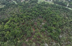 8602 CR 2448, Kemp, TX 75143