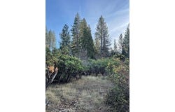 6172 Shad Way, Pollock Pines, CA 95726