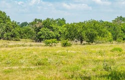 21690 FM 2093, Harper, TX 78631