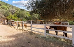 8952 Detwiler Rd, Escondido, CA 92029