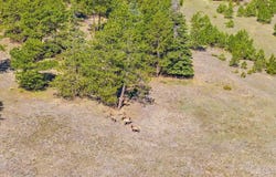 12511 CR 328, Westcliffe, CO 81252