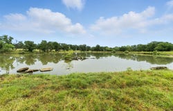 US 380 Highway, Jacksboro, TX 76458