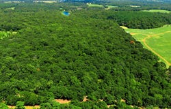 CR 3613, Murchison, TX 75758