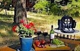 208 Thula Street, McCall, ID 83638