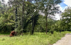 Pine Street, Pendergrass, GA 30567