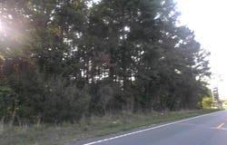 Friendfield RD, Pamplico, SC 29583