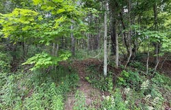 55 Badger Road, BINGHAMTON, NY 13904