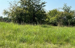 County Road 4145, Cooper, TX 75432