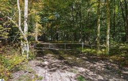 11096 DIRT ROAD, MESICK, MI 49668