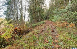 NKA Lost Mountain Road, Sequim, WA 98382