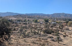 Malpaso Road, Phelan, CA 92371