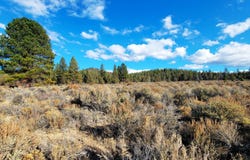 Tableland Road, Sprague River, OR 97639
