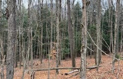 Maxfield Road, Waterville, VT 05492