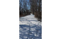 7021 Palms Road, Ira Twp, MI 48023