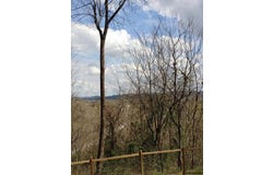 96 Private drive 8334, Chesapeake, OH 45619