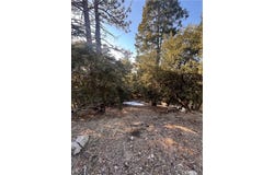North Rd, Twin Peaks, CA 92391