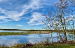 County Road Y, Gordon, WI 54838