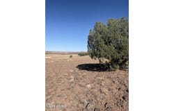 N7399, Chambers, AZ 86502