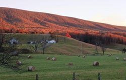 5110 Rich Patch Rd, Covington, VA 24426