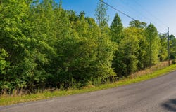 Jackson Point Road lot: 3 & 4, Sewanee, TN 37375