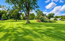 4708 Roslyn Road, Downers Grove, IL 60515