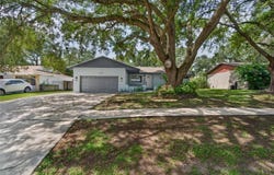 1229 OAK VALLEY Drive, SEFFNER, FL 33584